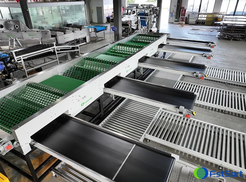 potato size grader.jpg potato size grader.jpg